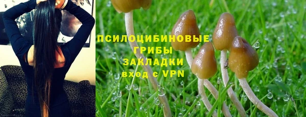 стафф Белокуриха