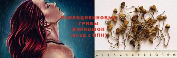 альфа пвп Беломорск